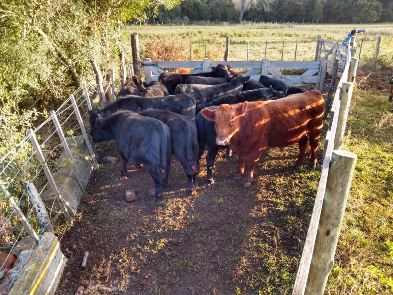 29.6 Hectareas En Circ. 15 De Veronica, Partido De Punta Indio.