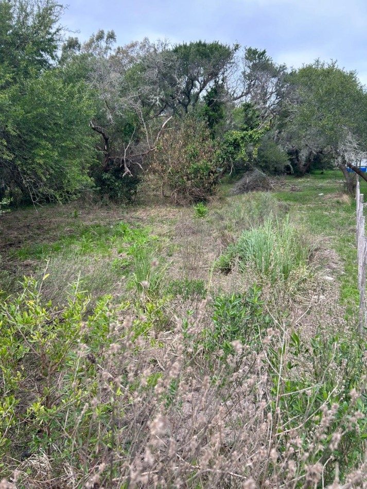 Lote De 18.50x50mts En Calle Coliqueo E/ Roca Y Sarmiento De Punta Indio.