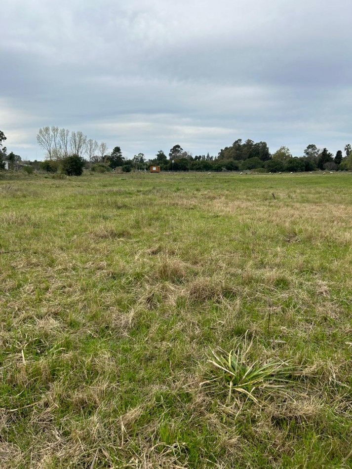 Lote De 20.50x123mts Sobre Ruta 11 E/ Coliqueo Y Tupac Amaru De Punta Indio.