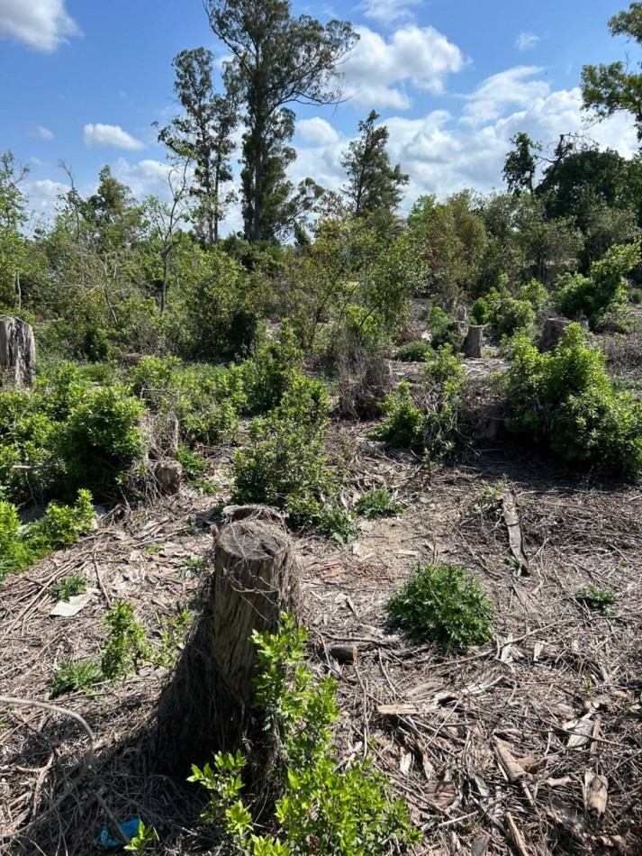 Lotes de 40x60 en circ. 14 de Veronica, partido de Punta Indio.
