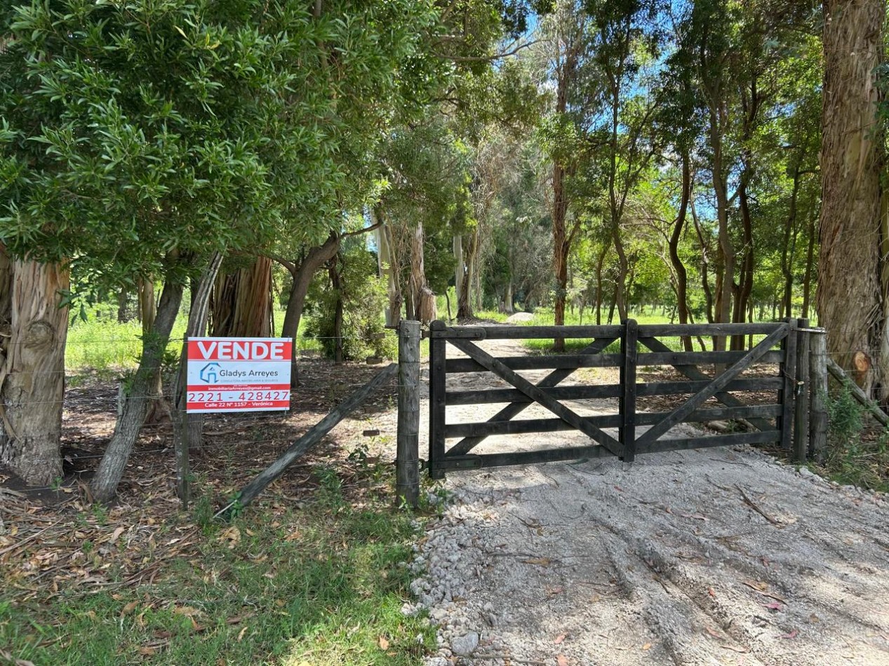 4.53 Hectareas En Las Tahonas, Punta Indio