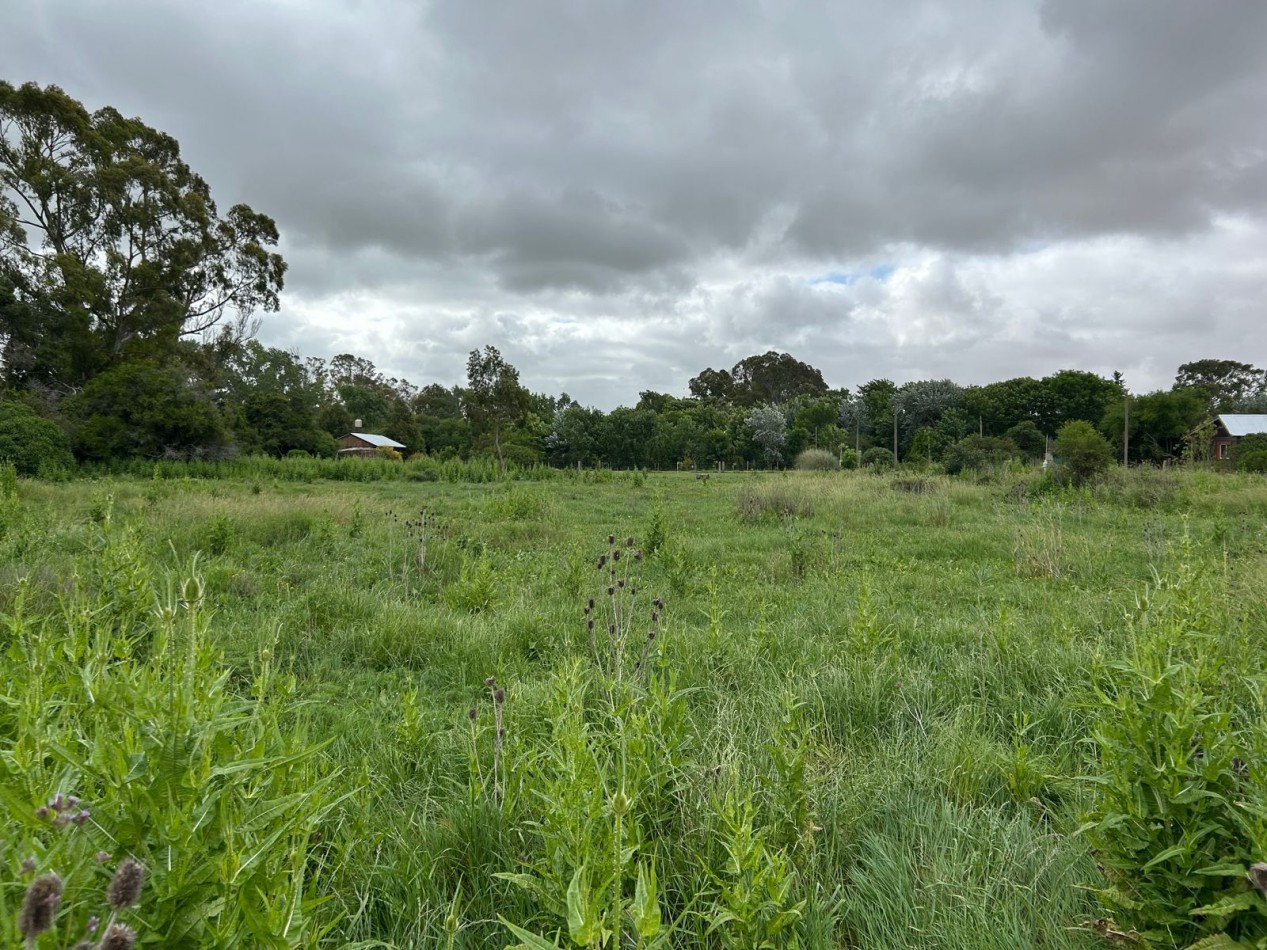 Lotes de 20x60 / Venta Conjunta O Individual En Punta Indio, Buenos Aires.