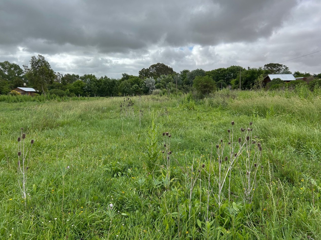 Lotes de 20x60 / Venta Conjunta O Individual En Punta Indio, Buenos Aires.