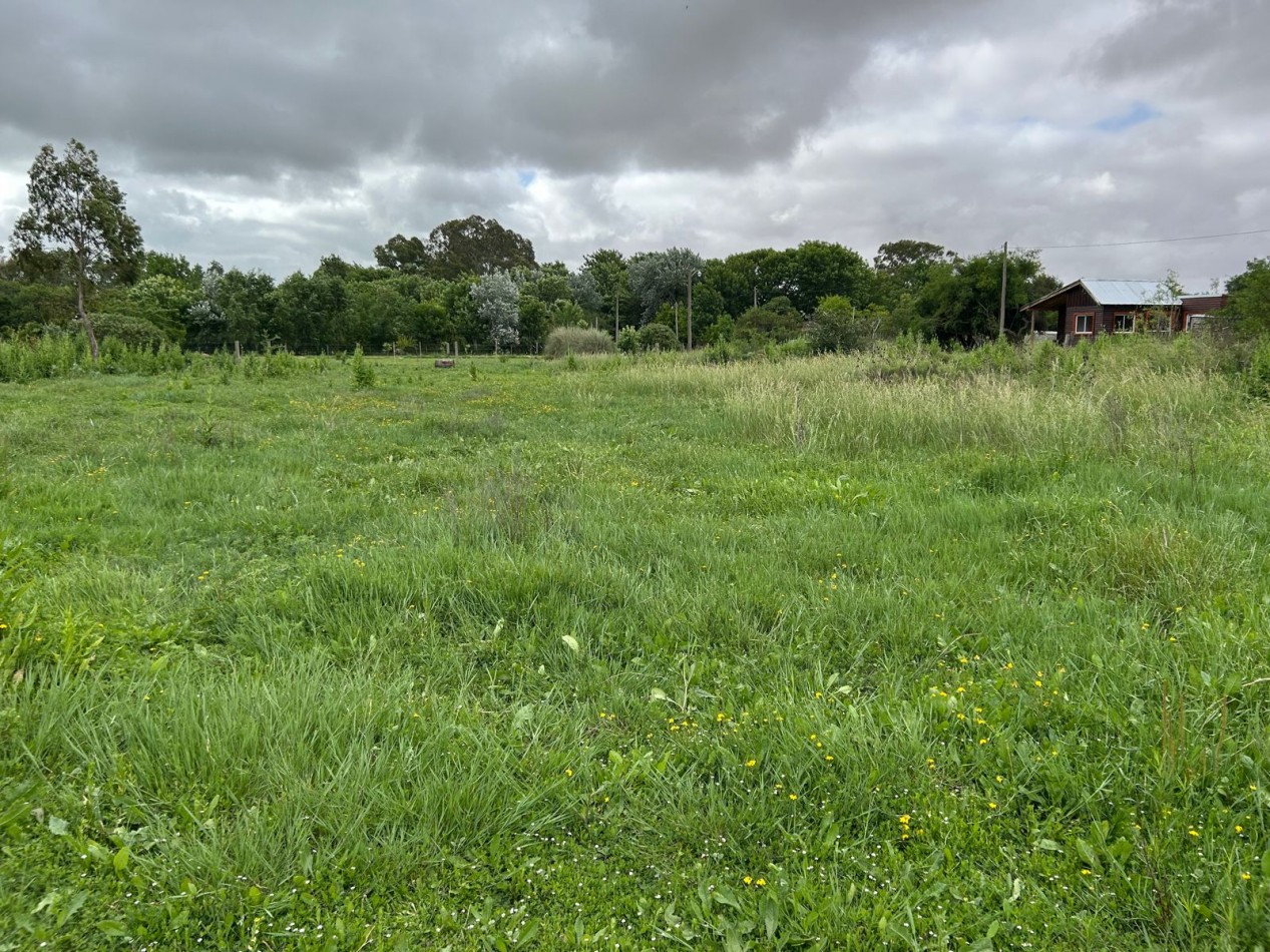 Lotes de 20x60 / Venta Conjunta O Individual En Punta Indio, Buenos Aires.