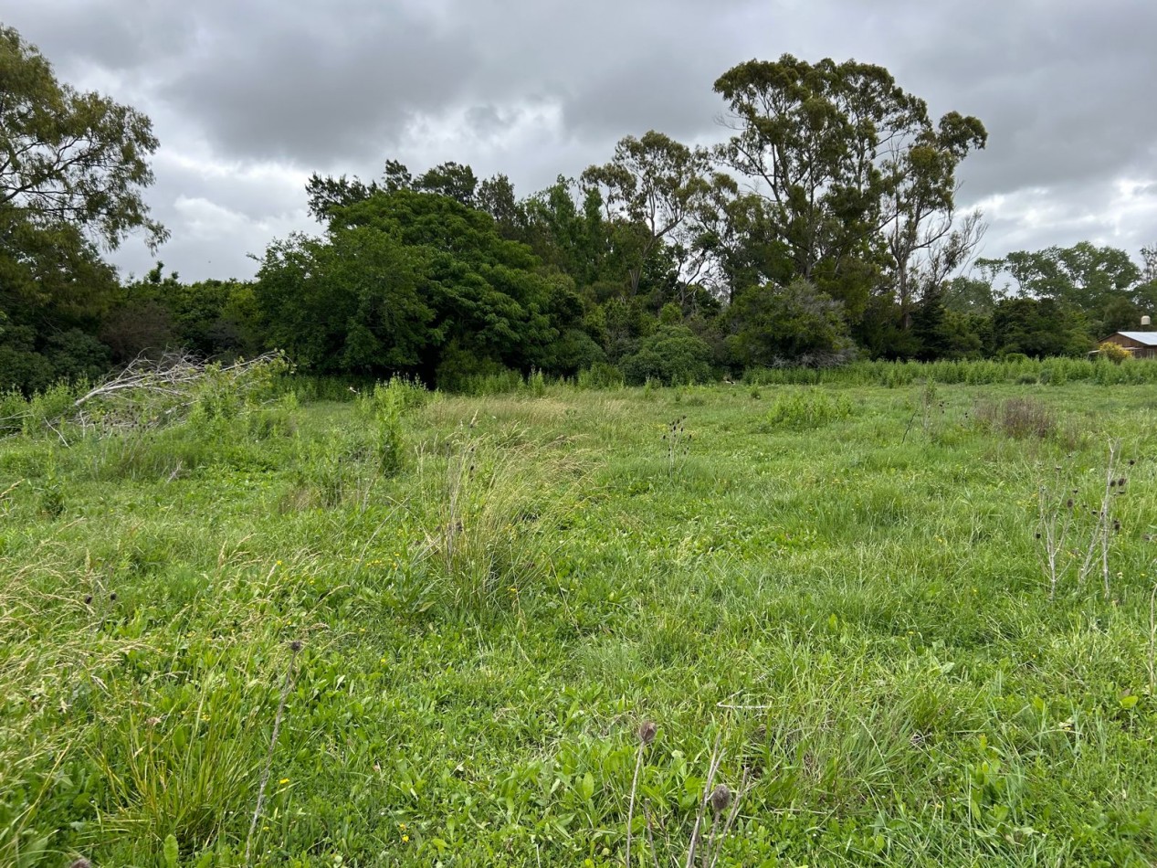 Lotes de 20x60 / Venta Conjunta O Individual En Punta Indio, Buenos Aires.