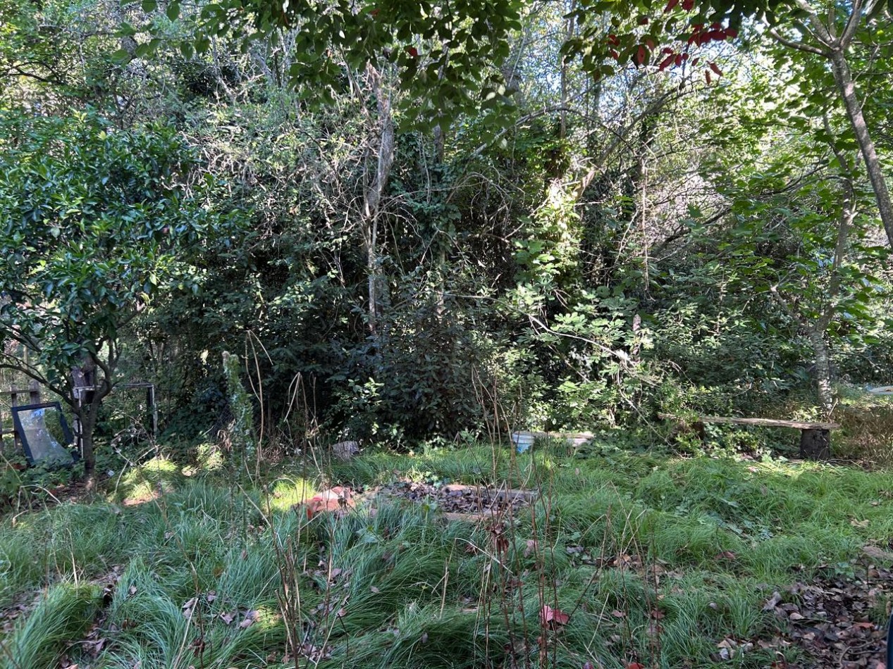 Lote De 20x40mts Con Mejoras En Calle Huascar, Localidad De Punta Indio