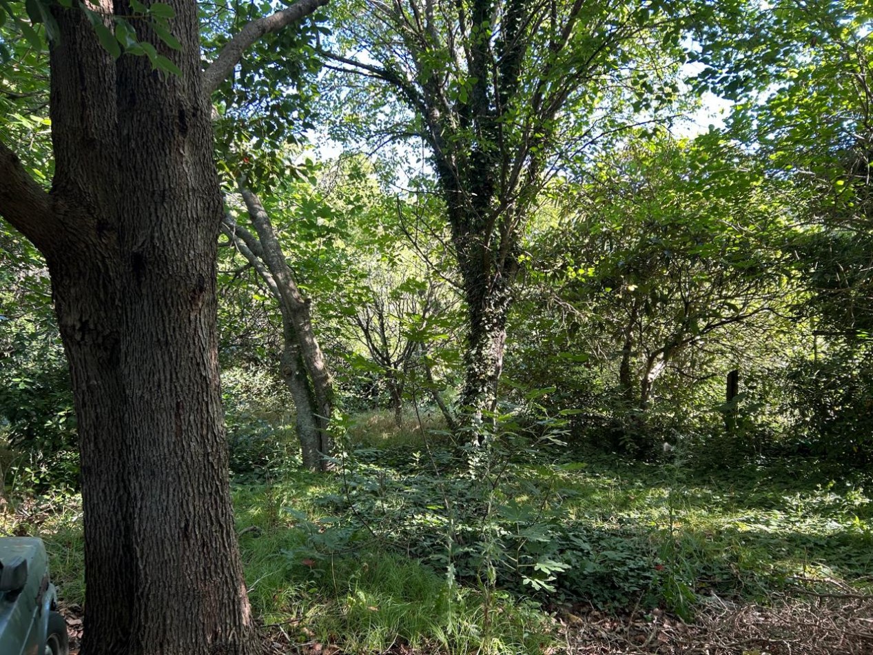 Lote De 20x40mts Con Mejoras En Calle Huascar, Localidad De Punta Indio