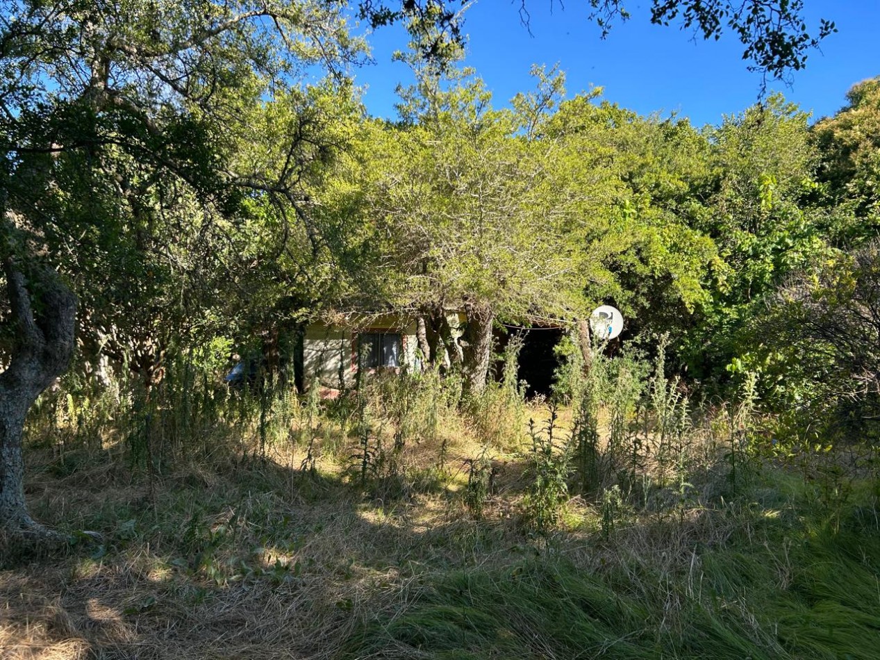 Lote De 20x40mts Con Mejoras En Calle Huascar, Localidad De Punta Indio