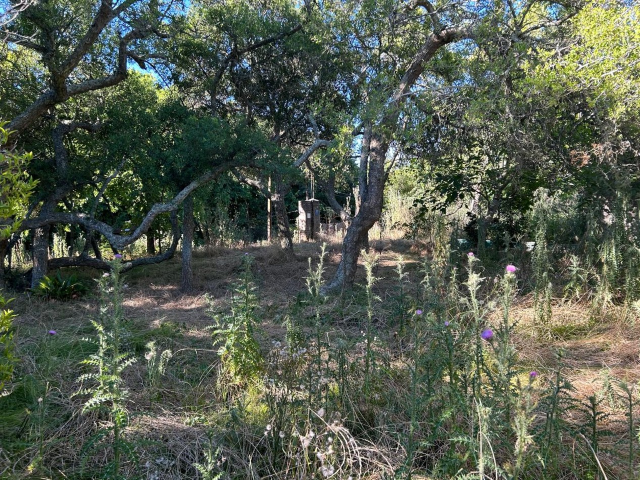 Lote De 20x40mts Con Mejoras En Calle Huascar, Localidad De Punta Indio