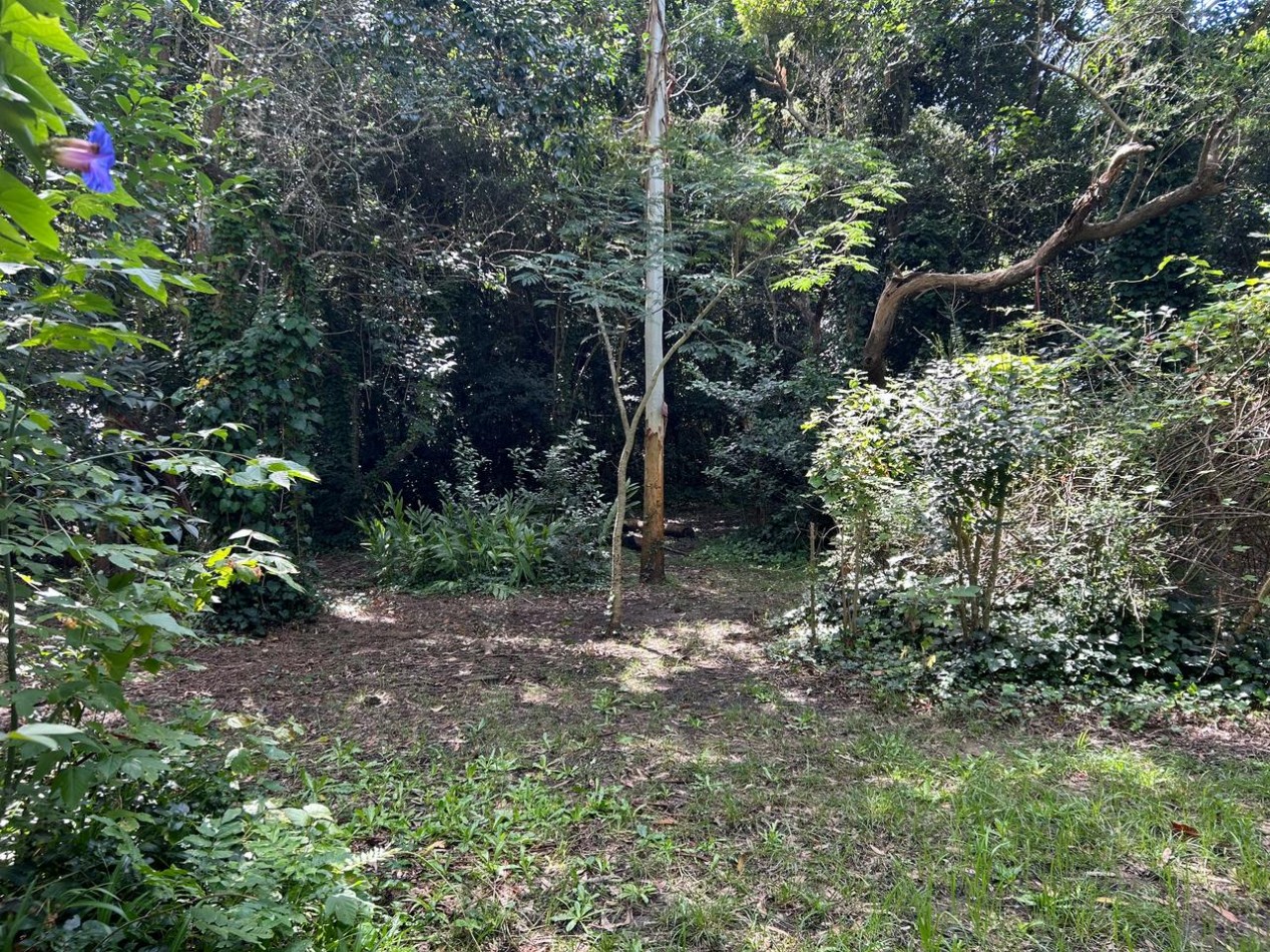 "La Escondida" Calle V. Lopez entre Moreno y Sarmiento, localidad de Punta Indio