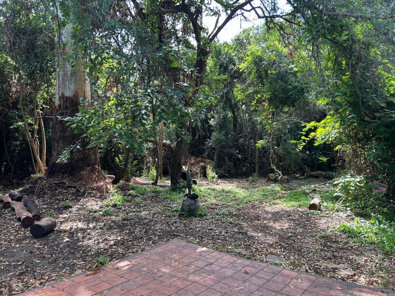 "La Escondida" Calle V. Lopez entre Moreno y Sarmiento, localidad de Punta Indio