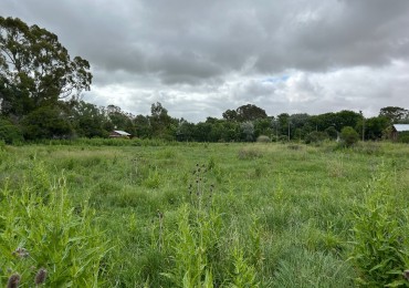 Lotes de 20x60 / Venta Conjunta O Individual En Punta Indio, Buenos Aires.